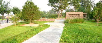 北京桃園園林綠化工程實(shí)景組圖賞析