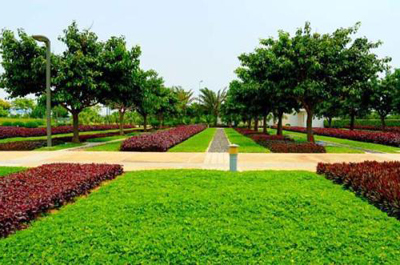 綠滿邕城 南寧園林綠化、庭院美化與專業工程服務的全方位解析