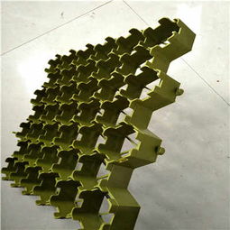 清遠塑料植草格廠家 以專業品質，助力綠色生態建設